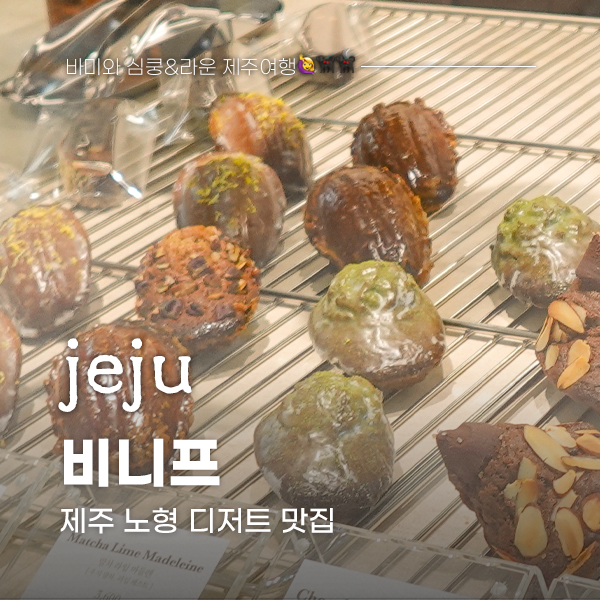 비니프 이미지