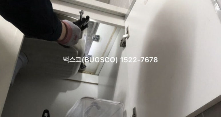 벅스코 이미지