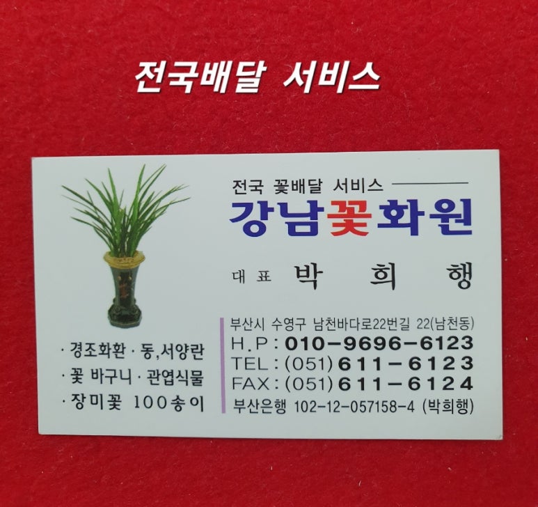 강남꽃화원 이미지