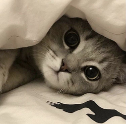 HS공조 이미지