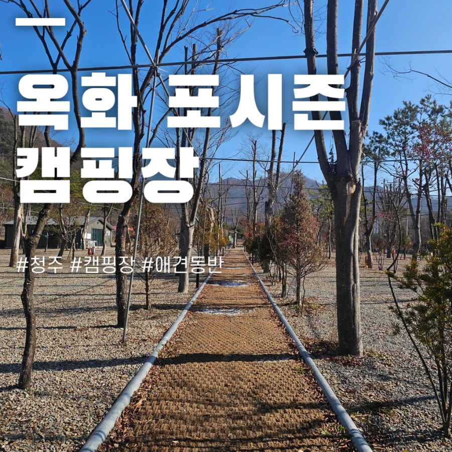 옥화포시즌캠핑장 이미지