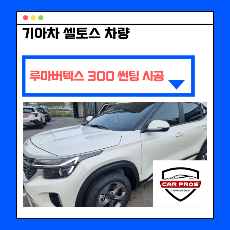 카프로스 이미지