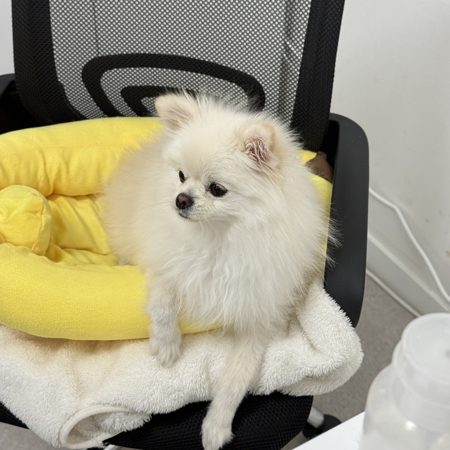 오하뷰티스튜디오 이미지