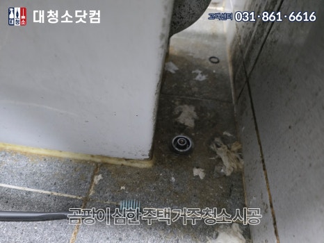 대청소닷컴 이미지