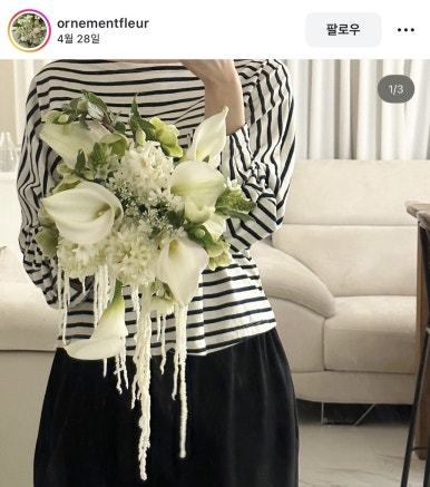 떼르드에떼 이미지
