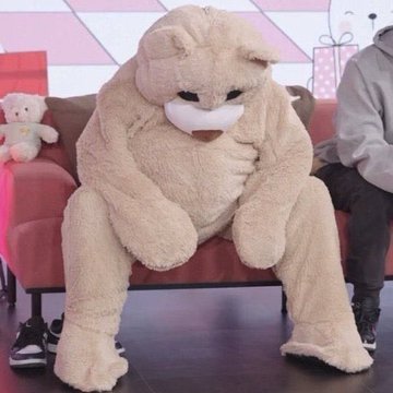 지지 이미지
