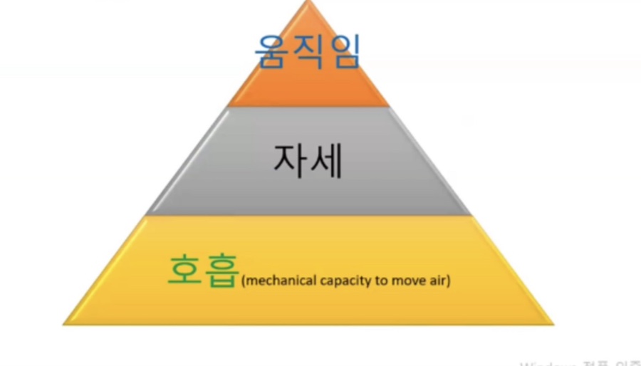 짐네스티 이미지