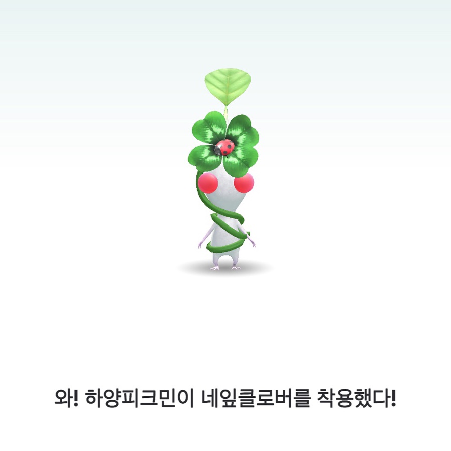 소울버킷 이미지