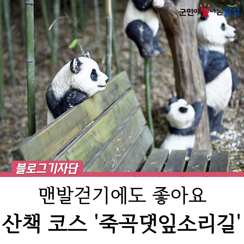 수호판다 이미지