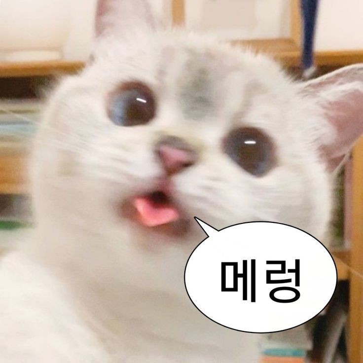 마음의꽃 이미지