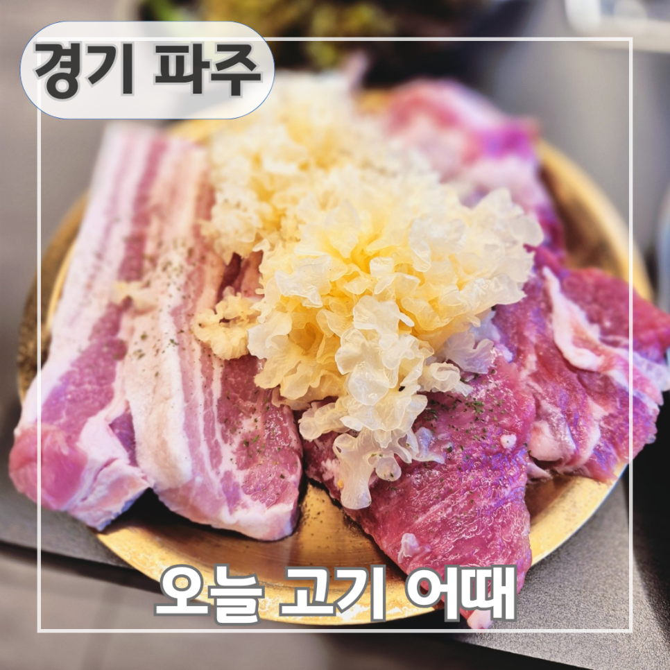 오늘고기어때 이미지