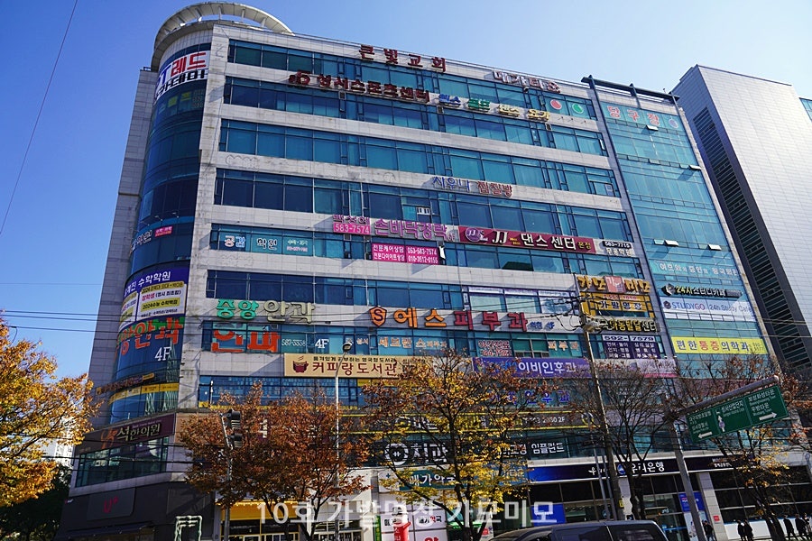 가모미모 이미지