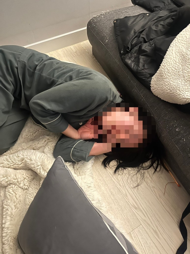 주담화 이미지