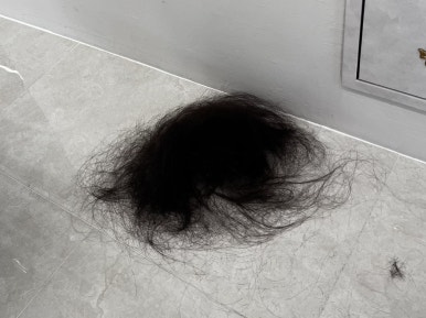 디아브헤어 이미지