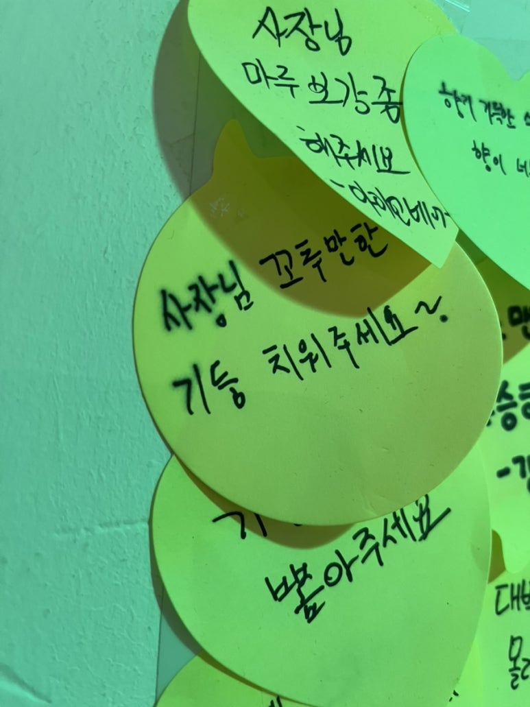 하나누엘 이미지
