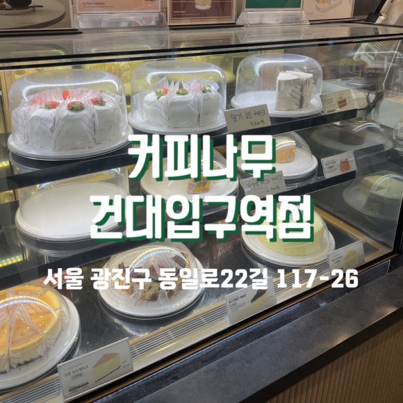 커피나무건대역점 이미지