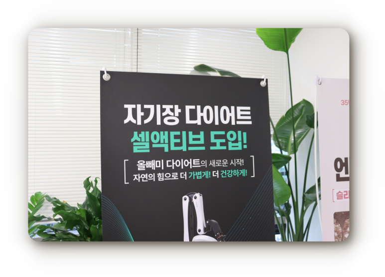 다이트경기수원 이미지