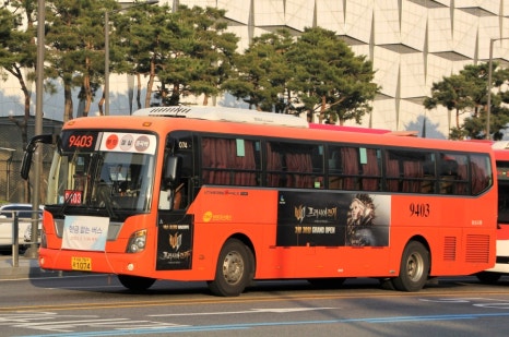 사이유지 이미지