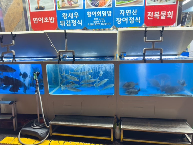 매일매일횟집 이미지