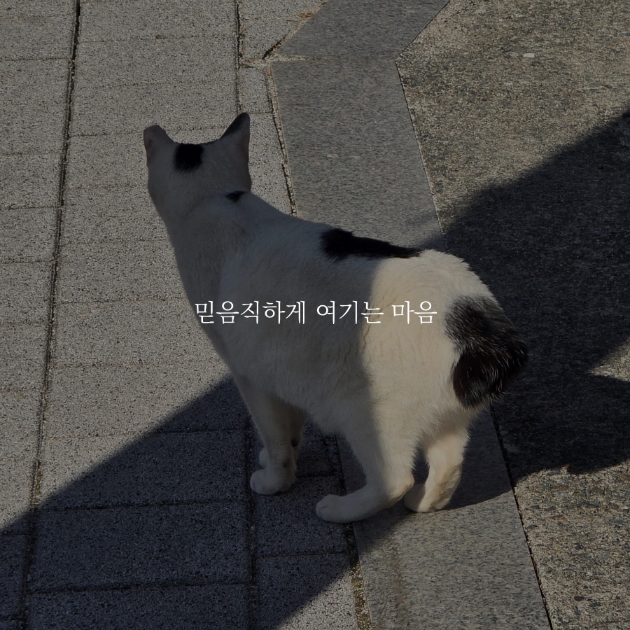 미쁨 이미지