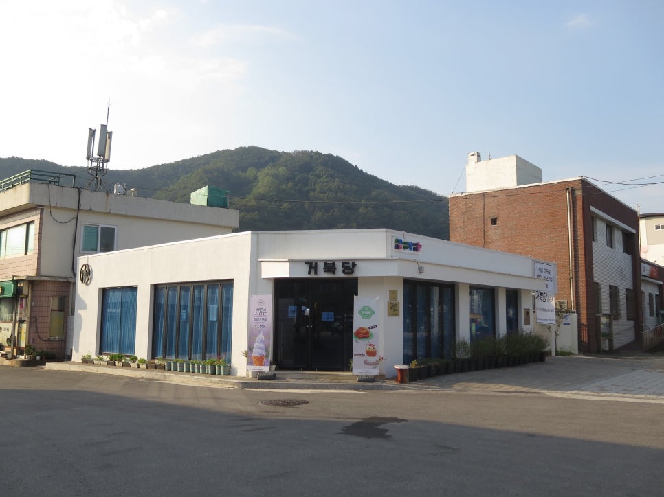거북당 이미지