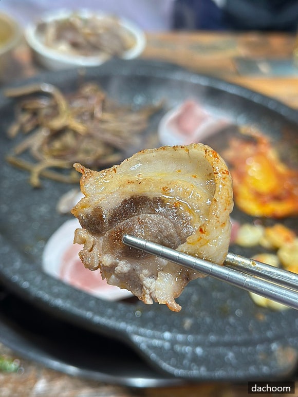돈나와라 이미지