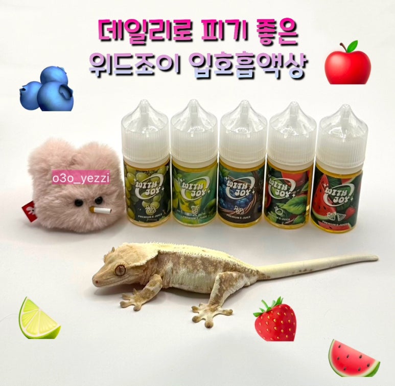 위드조이 이미지