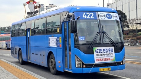 사이유지 이미지