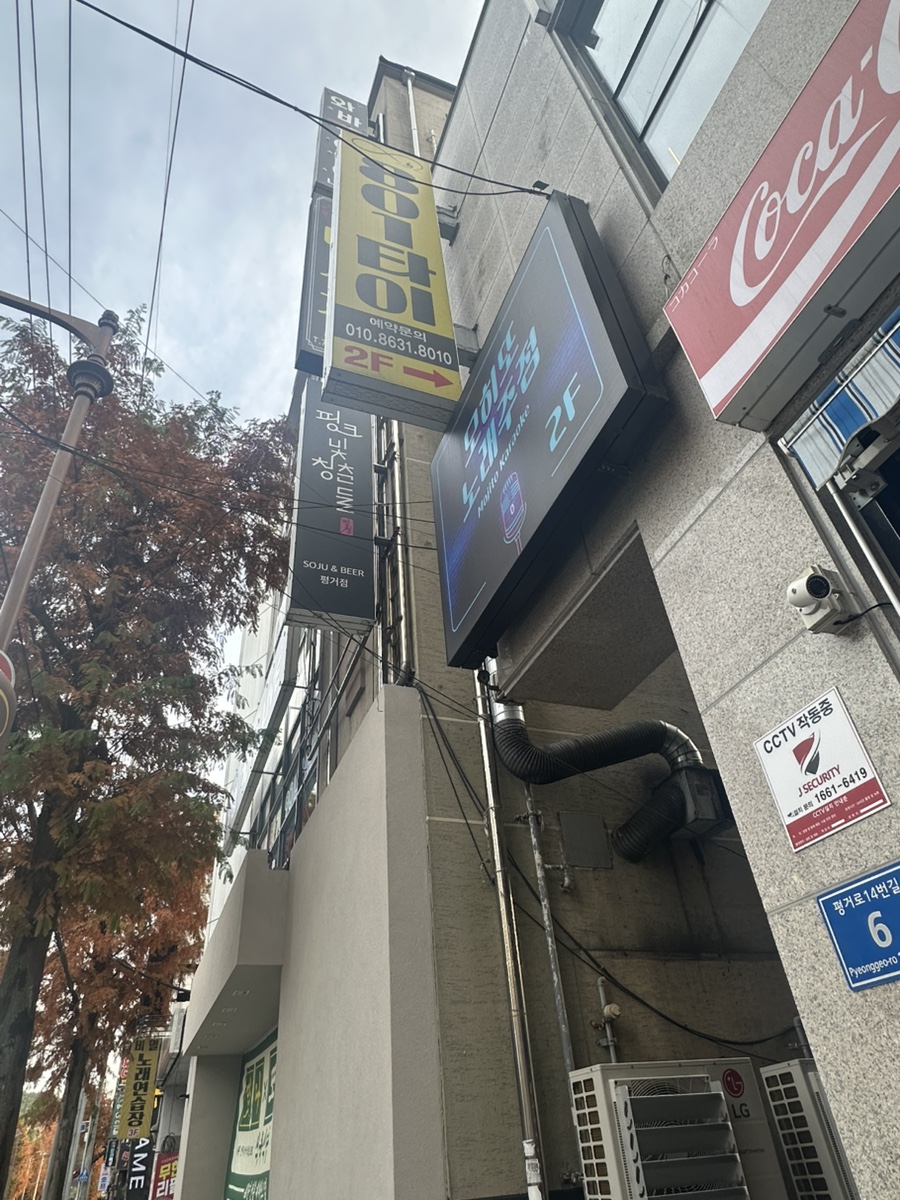 801타이아로마 이미지