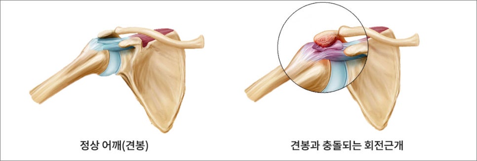 연세오케이병원 이미지