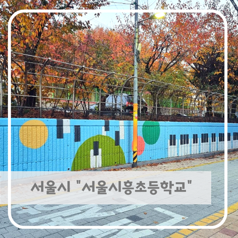 서울시흥초등학교 이미지