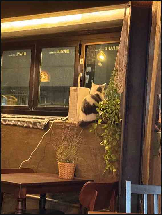 홍담 이미지