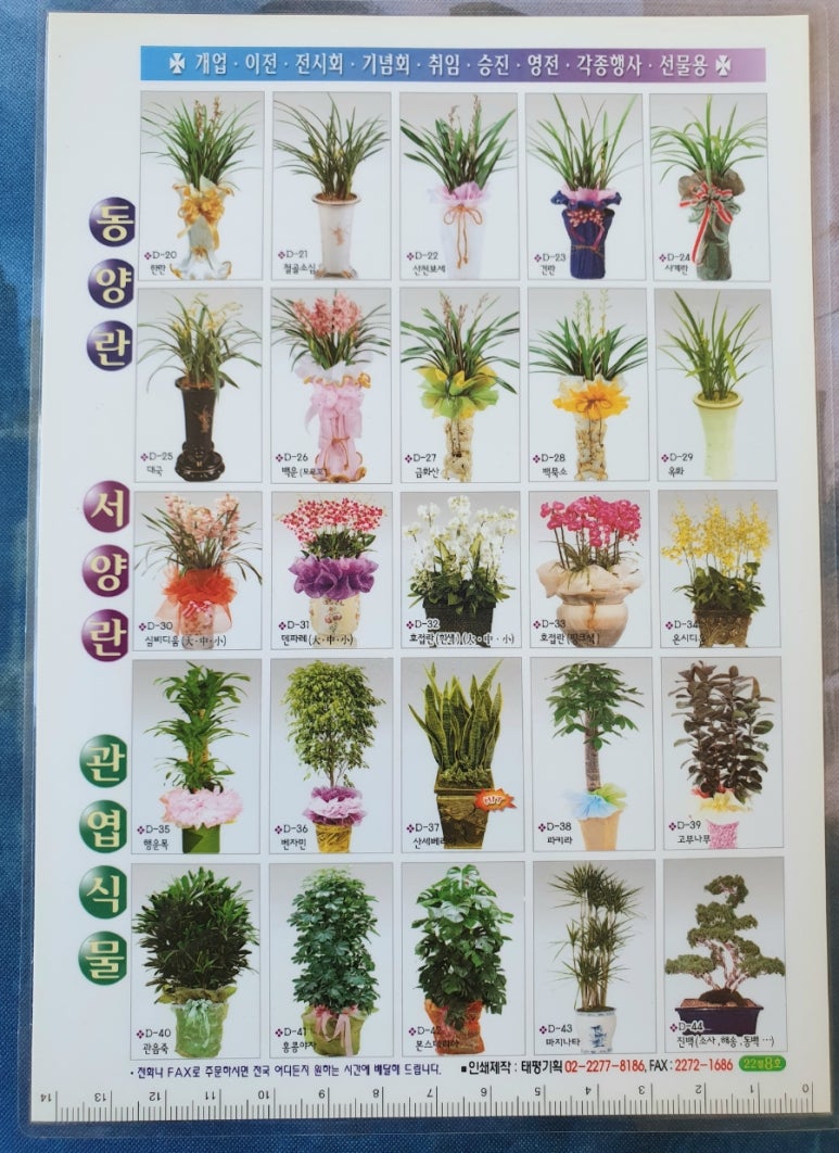 강남꽃화원 이미지