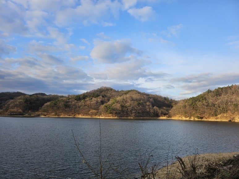 보리네직화구이 이미지