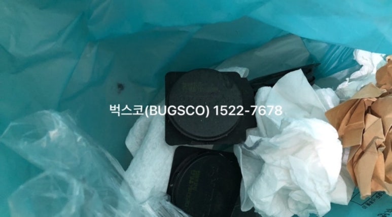 벅스코 이미지
