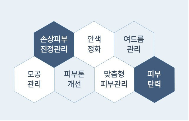 시즌테라피 이미지