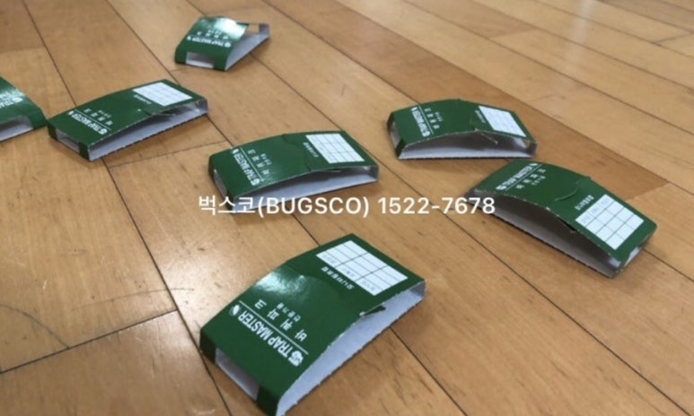 벅스코 이미지