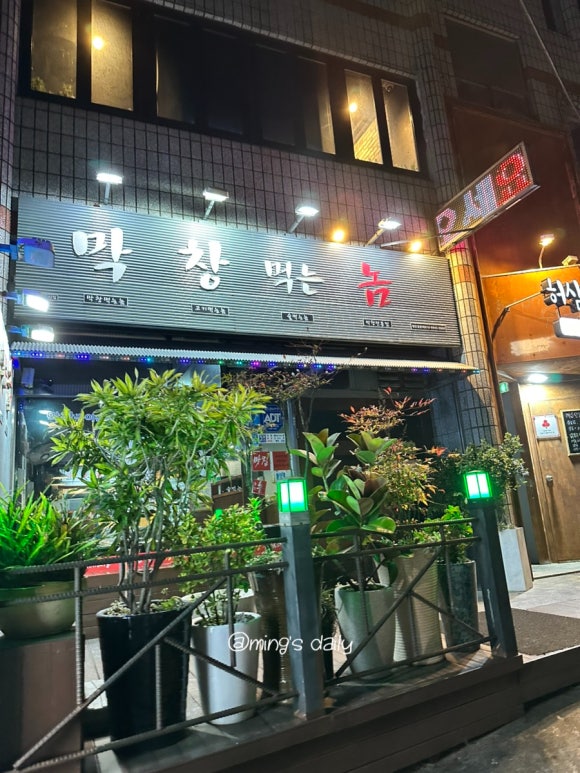 막창먹는놈 이미지