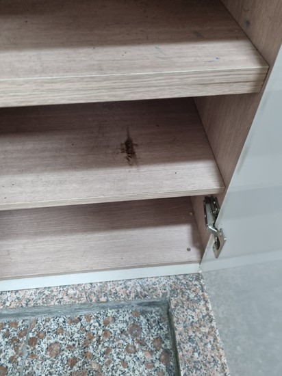 클린올케어 이미지
