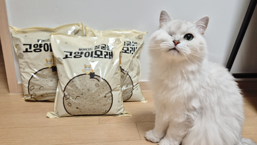 주식회사 블렌디드 이미지