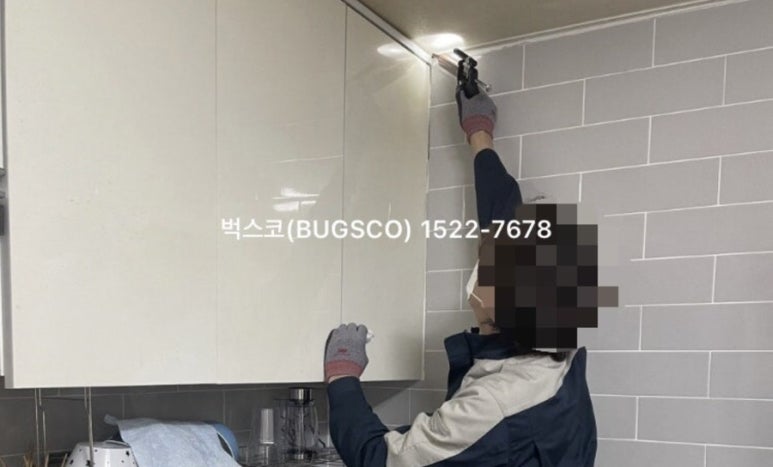 벅스코 이미지