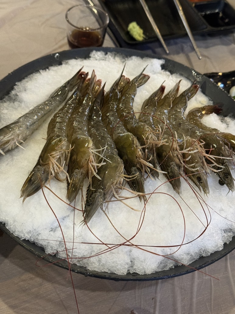 오징어데이 이미지