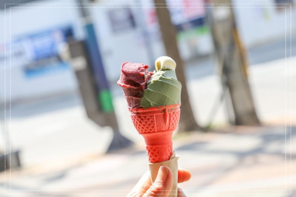 라또래요 이미지