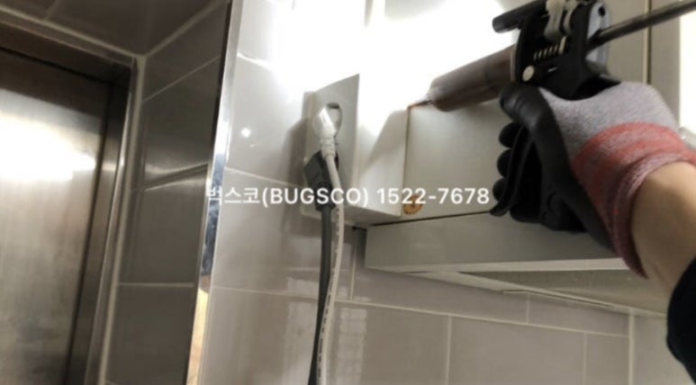 벅스코 이미지