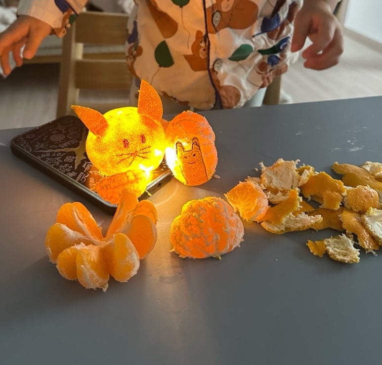 팔로디리몬 이미지