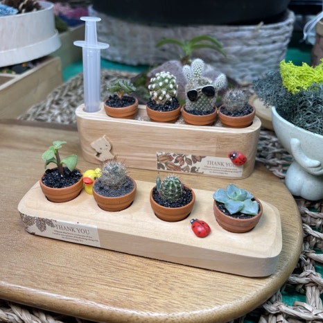 꽃샘아트 이미지