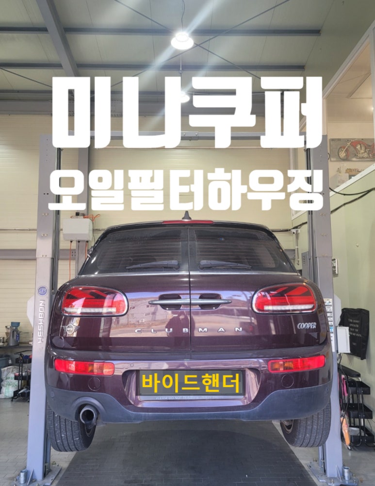 바이드핸더 이미지