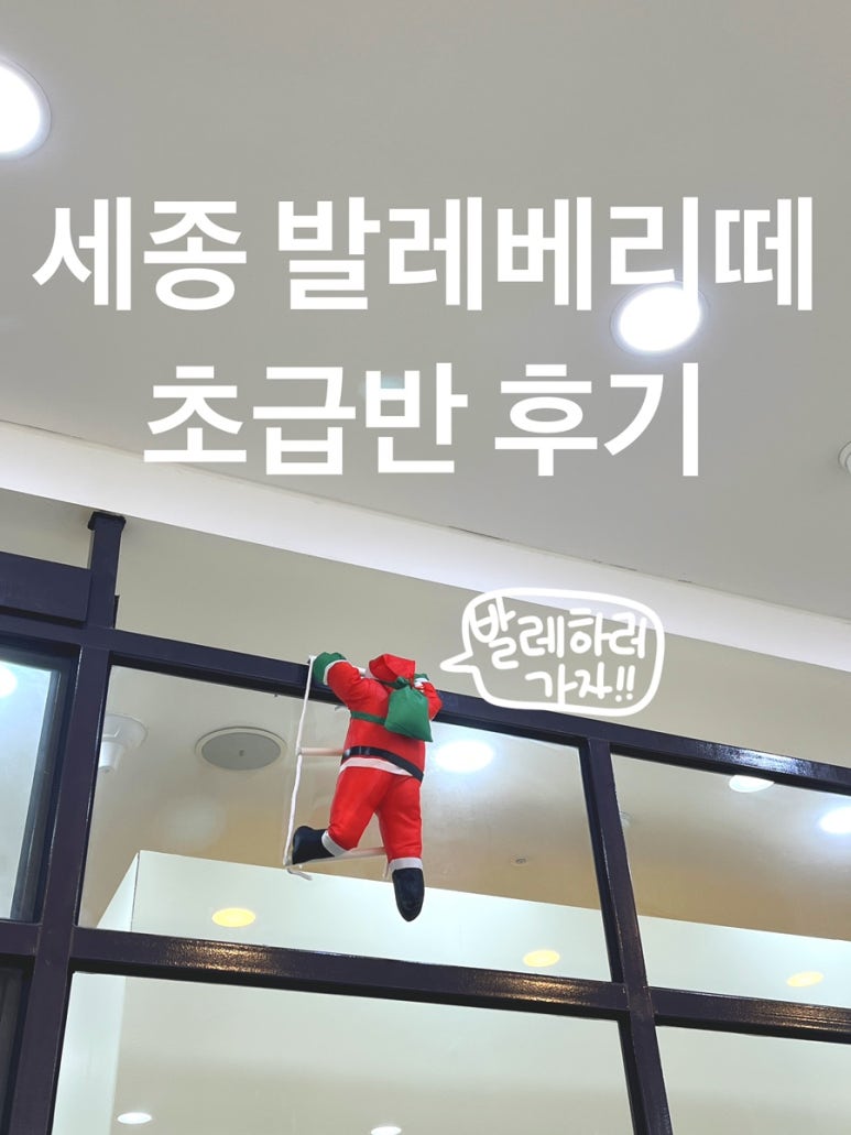 발레베리떼 이미지