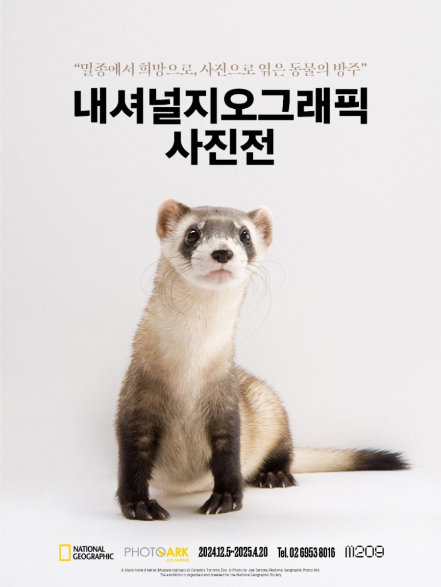 내셔널지오그래픽 이미지