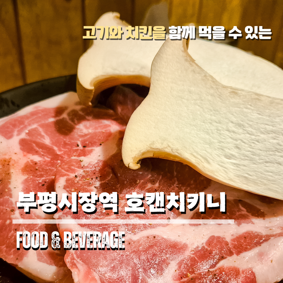 호팬치키니 이미지